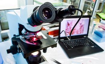 Learning Aids: Skoltech Method Helps Train Computer Vision Algorithms on Limited Data