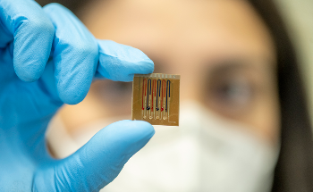 Researchers Develop Biosensors to Measure Antibiotics in Mammals