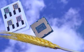 Cost-Effective Smart Soil Sensors For More Effective Use of Fertilizers