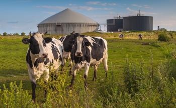 Gas Monitoring in Agriculture with Sensors from MSR-Electronic