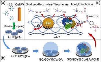 Scientists Design Electrochemical Biosensor for Interference-Free Detection of Organophosphorus Pesticides