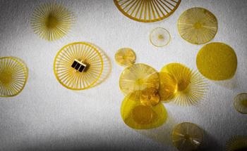 Battery-Free Wireless Sensing Device Inspired by Dandelion Seeds