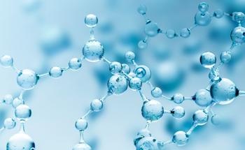 UCalgary Team Establish Existence Spinal Oxygen Sensors