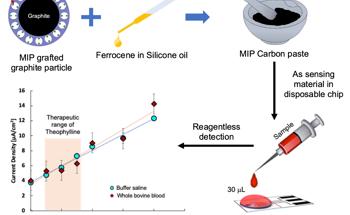 Researchers Develop an Electrochemical Sensor for Rapid Theophylline Detection
