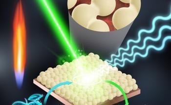 Researchers Develop Compact Nano-Sensor That Identifies Pesticides on Fruit
