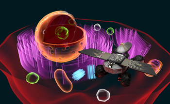 Cell Rovers: Monitoring Cellular Activity in Real-Time