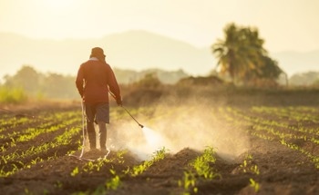 New Nanoparticle-Based Sensors Can Detect Residual Herbicides in Food