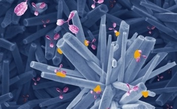 Groundbreaking Electrochemical Immunosensor for Rapid Detection of COVID-19