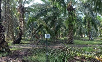 Data-driven, Smart Farming in Remote Areas Enabled by Astrocast / Avirtech Partnership