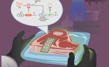 A Disposable, Fast, and Reliable System for Identifying Putrescine in Beef Samples