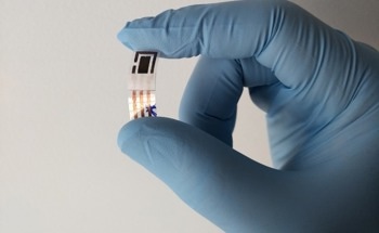 Detection of Heavy Metals in Noninvasive Samples of Sweat