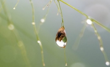 New Soil Moisture Sensor Helps Develop Smarter Agriculture