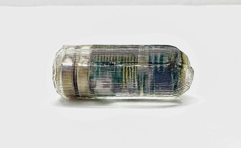Ingestible Biosensor to Treat and Diagnose Gastrointestinal Disorders