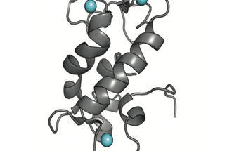 Biosensor For the Real-Time Imaging of Manganese(II) in Cells
