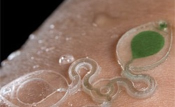 3D-Printed Wearable Sweat Sensor to Monitor Health