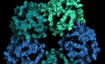 Affordable Approach to Design and Develop Sensors for Human Biomarkers