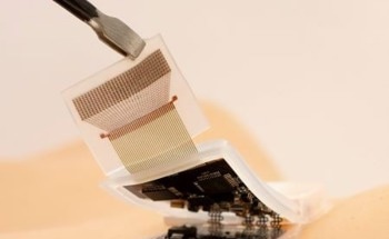 Wearable Ultrasound System to Monitor Deep Tissue in Moving Subjects