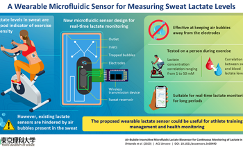 Wearable Sensor for Sweat Lactate Level Measurement During Exercise