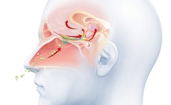 New Nerve Gas Sensor Using Human Scent Receptors Developed