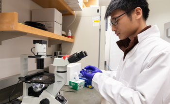 New Sensor to Help Understand the Inner Workings of Cells