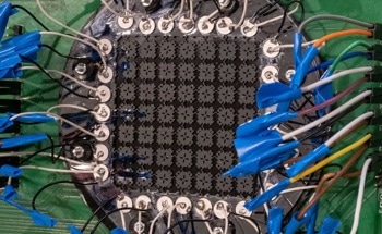 A Sensor Capable of Protecting Millions of Butterflies