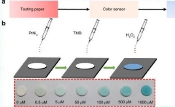 Integrating Portable H2O2 Sensors Into Everyday Health Management