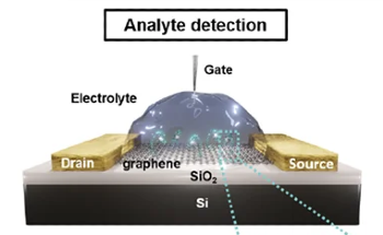 Ultra-Sensitive Sensor for Enhancing Water Quality Monitoring