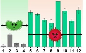 Portable Device Lights Up for Resistant Bacteria Detection