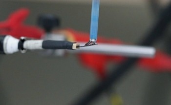 Graphene Biosensor Detects Meat Freshness With Speed and Accuracy
