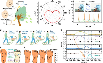 Flexible Pressure Sensor to Revolutionize Multiple Domains