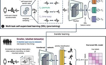 Self-Supervised Learning on Wearable Sensor Data