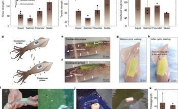 Soft Hydrogel Bioadhesive for Non-Invasive Sensor Attachment