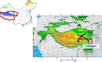 Wavelet Denoising Techniques in Permafrost Monitoring