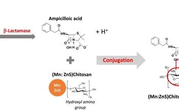 Advanced Biosensor for Detecting Ampicillin