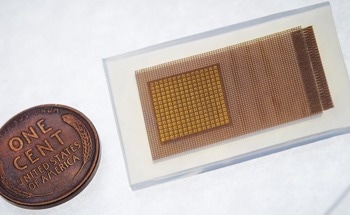 New Patch Paves the Way for Continuous Brain Monitoring