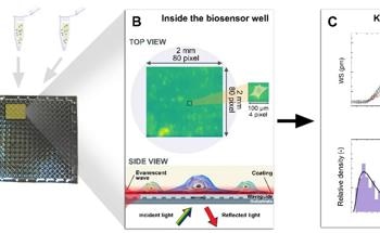 Sensing the Impact of Dissociation on Early Cell Adhesion
