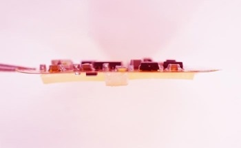 Seamless Integration of Electronics with Living Tissue