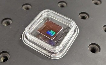Tiny Crop-Health Sensors Could Help Cut the Cost of Groceries