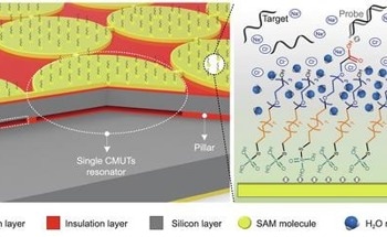 New Biosensor Detects DNA at Ultra-Low Levels