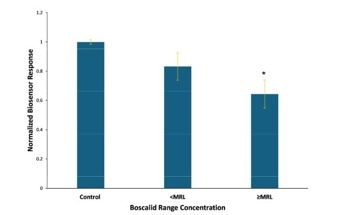 Innovative Biosensors for Soil Heavy Metal Detection