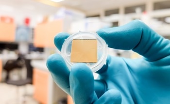 Laccase-Based SPR Biosensor for Highly Sensitive Dopamine Detection