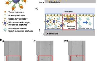 Acoustic Microfluidic Chip Boosts Biosensing Efficiency