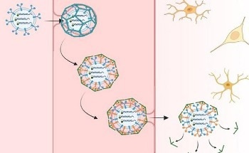 Fluorescent Sensors to Enhance Imaging of Alzheimer’s Disease