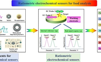 Ratiometric Electrochemical Sensors for Enhanced Food Safety