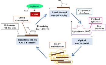 Novel Ultraviolet Aptasensor for Aflatoxin Detection