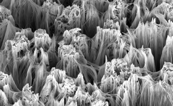 CuO Nanowires Boost Ozone Sensor Sensitivity