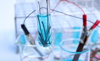 Copper Nanoparticles Enhance Vitamin B6 Detection