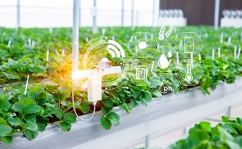 Preventing Agricultural Fires with CO2 Sensor Technology