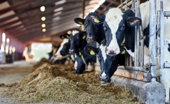 Biosensors Developed to Detect Biocides in Dairy Products