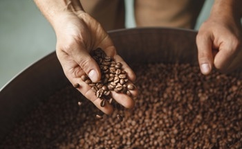 Real-Time Coffee Quality Assessment Using Electrochemical Sensing